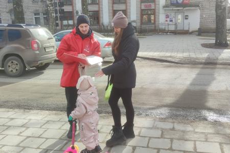 Обзорный репортаж о ходе проведения Народного Референдума в Новгородской области на дату 21 марта 2025 года