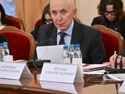 «Лучше бюллетень, чем булыжник». В Госдуме состоялся «круглый стол» по проблемам судебной практики по политическим и избирательным делам