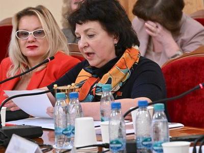 «Лучше бюллетень, чем булыжник». В Госдуме состоялся «круглый стол» по проблемам судебной практики по политическим и избирательным делам