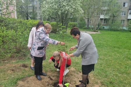 Тверской обком КПРФ организовал высадку деревьев в средней школе города Твери