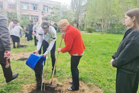 Тверской обком КПРФ организовал высадку деревьев в средней школе города Твери