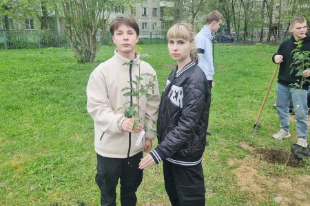 Тверской обком КПРФ организовал высадку деревьев в средней школе города Твери