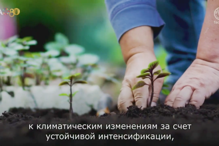 Олег Лебедев выступил на пресс-конференции в ТАСС  на тему «Леса и продовольствие»