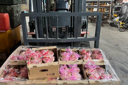 Нижегородские коммунисты отправили очередной груз гуманитарной помощи бойцам специальной военной операции