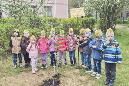 Тверской обком КПРФ организовал высадку деревьев в средней школе города Твери
