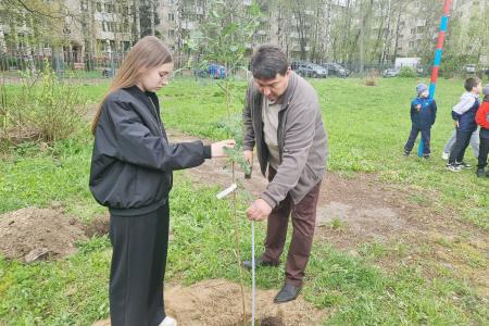 Тверской обком КПРФ организовал высадку деревьев в средней школе города Твери