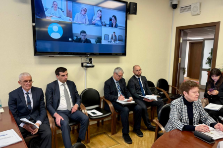 Анастасия Удальцова провела очередное заседание Рабочей группы по вопросам адаптации и интеграции мигрантов