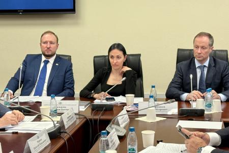 Анастасия Удальцова провела очередное заседание Рабочей группы по вопросам адаптации и интеграции мигрантов