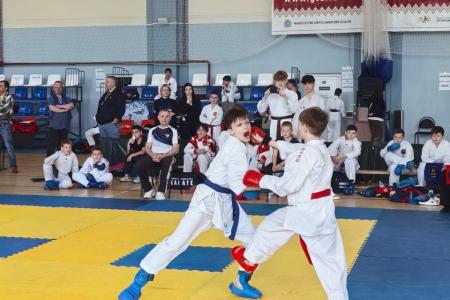 Самарские коммунисты приняли участие в открытии Чемпионата и Первенства России по каратэ WFKS