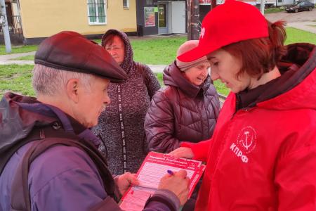 Акции в поддержку «Народного референдума» продолжаются в Новгородской области