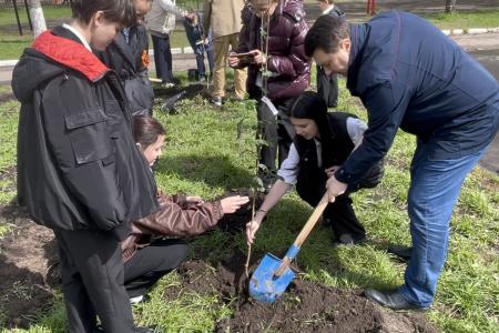 Олег Лебедев организовал высадку деревьев в средней школе города Твери