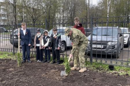 Олег Лебедев организовал высадку деревьев в средней школе города Твери