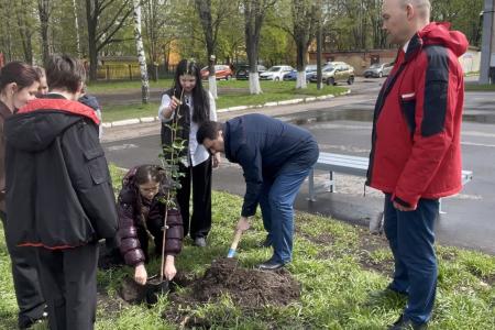 Олег Лебедев организовал высадку деревьев в средней школе города Твери