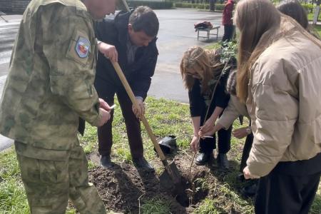 Олег Лебедев организовал высадку деревьев в средней школе города Твери