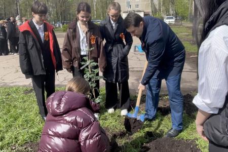 Олег Лебедев организовал высадку деревьев в средней школе города Твери