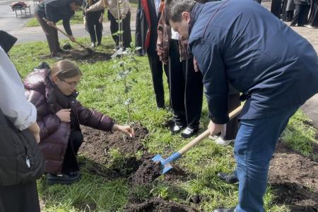 Олег Лебедев организовал высадку деревьев в средней школе города Твери