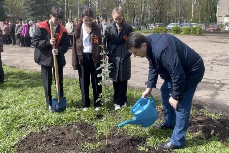 Олег Лебедев организовал высадку деревьев в средней школе города Твери