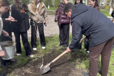 Олег Лебедев организовал высадку деревьев в средней школе города Твери