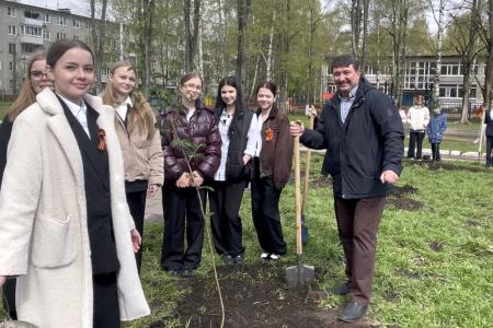 Олег Лебедев организовал высадку деревьев в средней школе города Твери