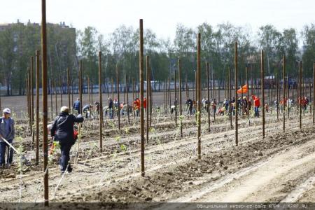 Накануне Дня Победы в Совхозе имени Ленина прошло мероприятие «Сад Победы - сад жизни»