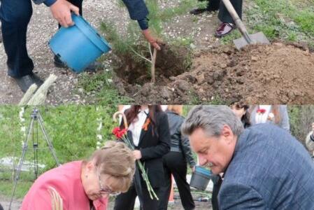 Саратовская область. Ольга Алимова побывала в поселоке Сергиевский