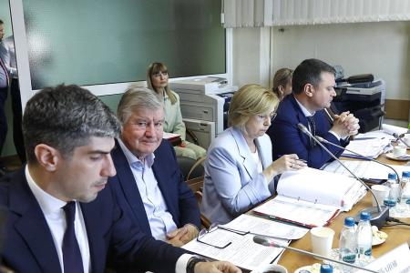 Н.А. Останина прокомментировала заседание Комитета по защите семьи, вопросам отцовства, материнства и детства