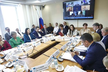 Н.А. Останина прокомментировала заседание Комитета по защите семьи, вопросам отцовства, материнства и детства