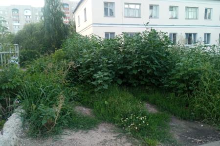 Благоустройство вопреки. Тамбовские коммунисты встретились с жителями домов по улице Б. Федорова