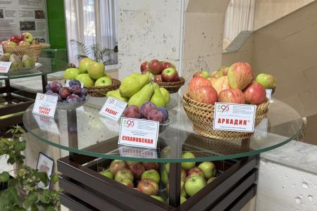 Руководитель фракции КПРФ в Мособлдуме Александр Наумов принял участие в международном форуме «Дни сада в Бирюлево»