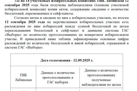 Выборы на Кубани. Зафиксированы расхождения между данными системы ГАС Выборы и цифрами в выданных в УИК актах
