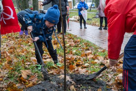 В Курске коммунисты и комсомольцы высадили деревья на Аллее Славы в честь 107-летия ВЛКСМ