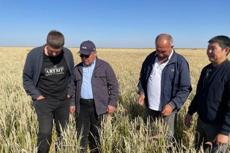 Заместитель Председателя Народного Хурала – глава фракции КРО КПРФ в парламенте Калмыкии Николай Нуров провел встречи с избирателями в районах республики