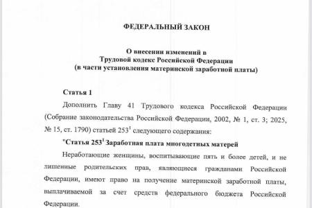 Депутаты КПРФ предложили установить Материнскую Зарплату для многодетных матерей