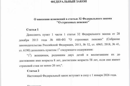 Коммунисты предложили снизить пенсионный возраст для матерей двух детей