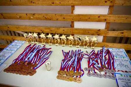 В Нижегородской области при поддержке КПРФ состоялся 38-й Всероссийский турнир по греко-римской борьбе