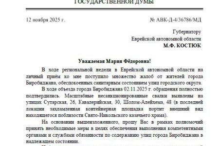Проблемы Еврейской АО — на федеральный уровень