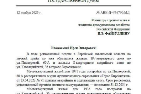 Проблемы Еврейской АО — на федеральный уровень