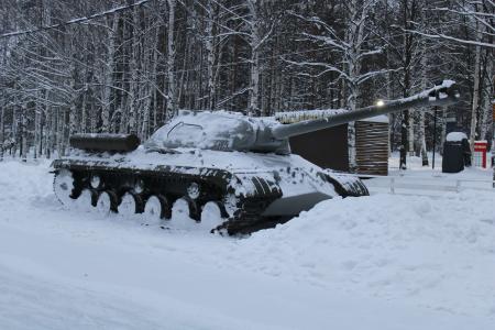 Удмуртия: левопатриотические силы возложили цветы в день рождения Сталина