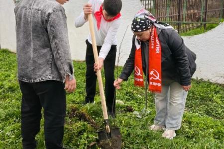 Кабардино-Балкария. Благодаря коммунистам Урванского района в школе села Псыкод высажены деревья на "Аллеи памяти"