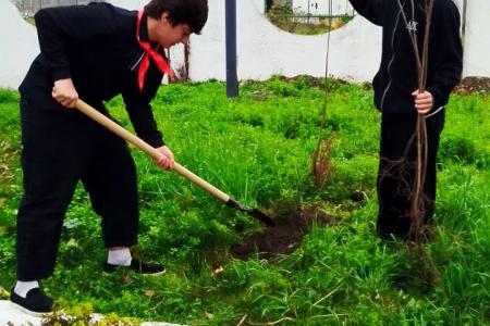 Кабардино-Балкария. Благодаря коммунистам Урванского района в школе села Псыкод высажены деревья на "Аллеи памяти"