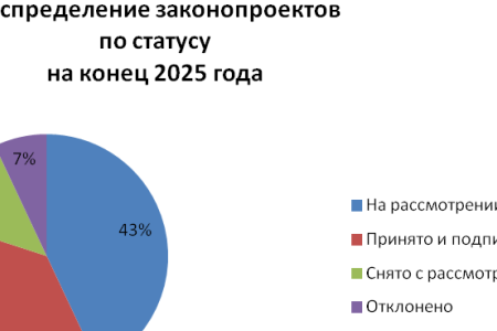 Отчёт депутата Госдумы Н.И. Васильева за 2025 год