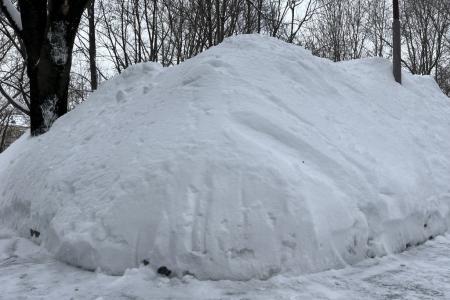Завершилась череда зимних субботников в Московском Обкоме партии