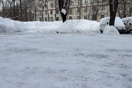 Завершилась череда зимних субботников в Московском Обкоме партии