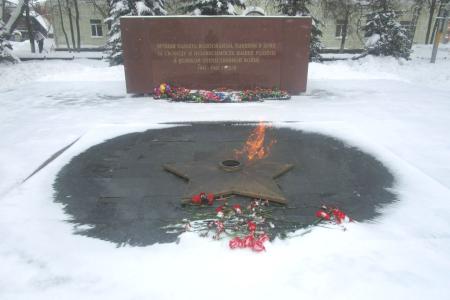 Вологодские коммунисты отметили 23 Февраля возложением цветов к Вечному огню