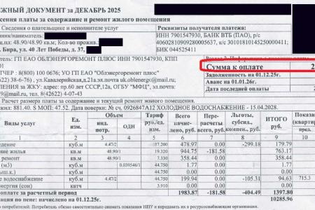Жители Еврейской автономной области стонут от коммунального беспредела