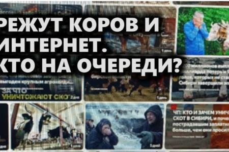 Режут коров и интернет. Кто на очереди?