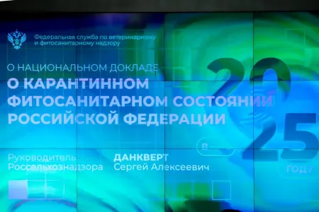 Доклад В.И. Кашина на заседании комитета по вопросу о Национальном докладе Россельхознадзора о карантинном фитосанитарном состоянии России