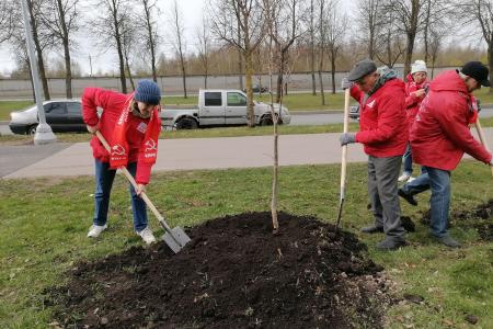 Коммунисты Петербурга провели субботники