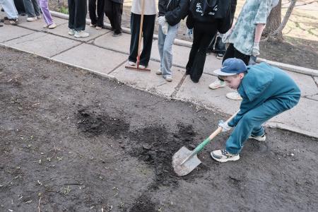 Пионерская аллея зацвела в Красноярске