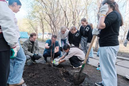 Пионерская аллея зацвела в Красноярске